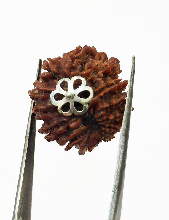 13 Mukhi Certified Nepali Rudraksha Silver Pendant